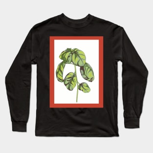 Basil spaghetti kitchen wall art Long Sleeve T-Shirt